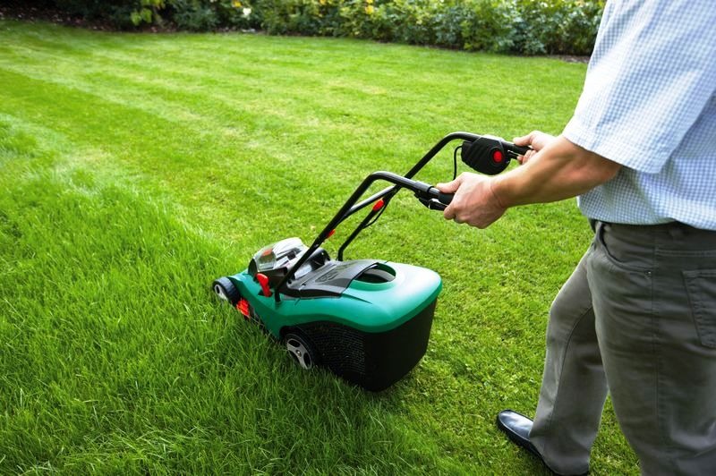 YARD & LOT CLEAN-UP