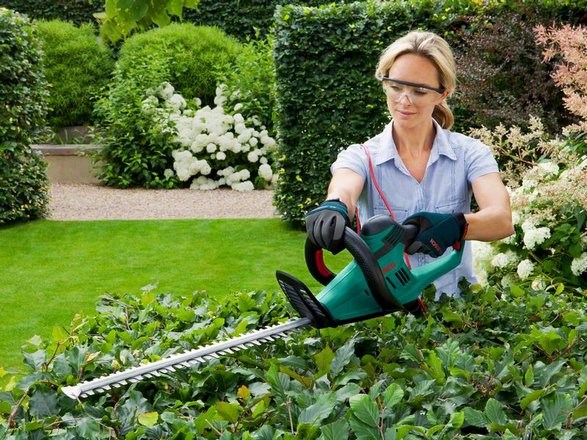 YARD & LOT CLEAN-UP