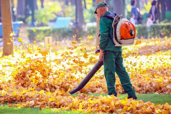 YARD & LOT CLEAN-UP
