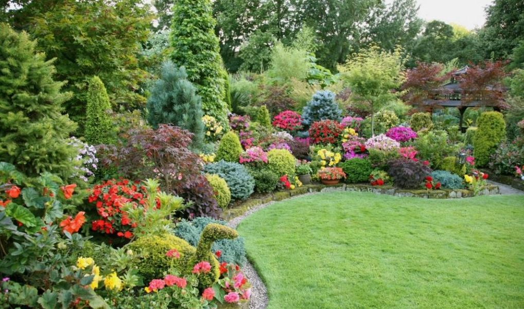 YARD & LOT CLEAN-UP