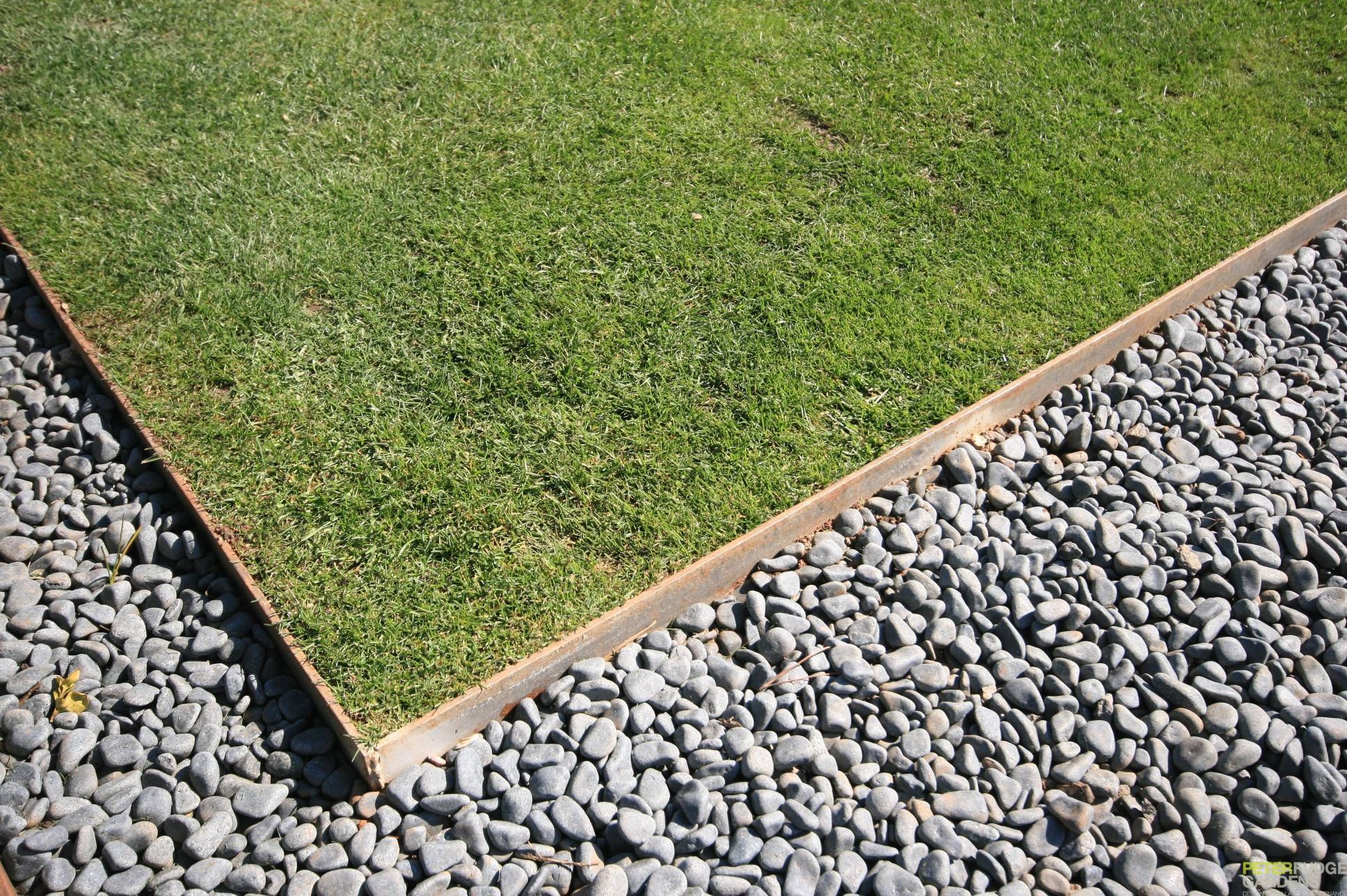 YARD & LOT CLEAN-UP