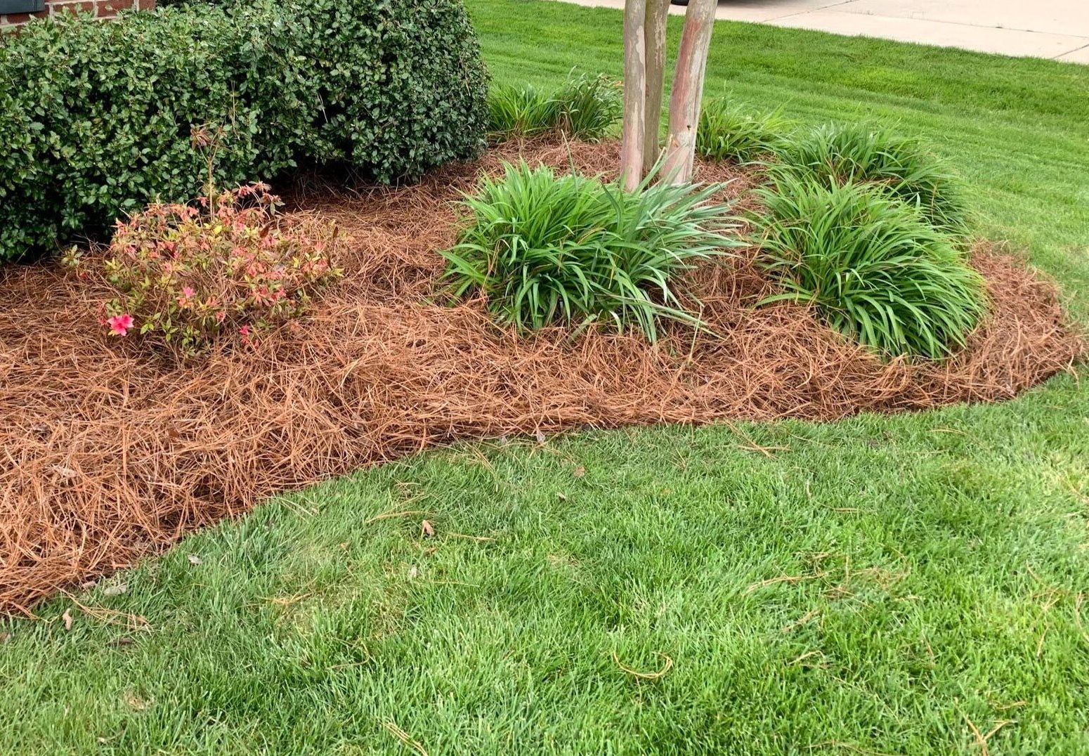 YARD & LOT CLEAN-UP