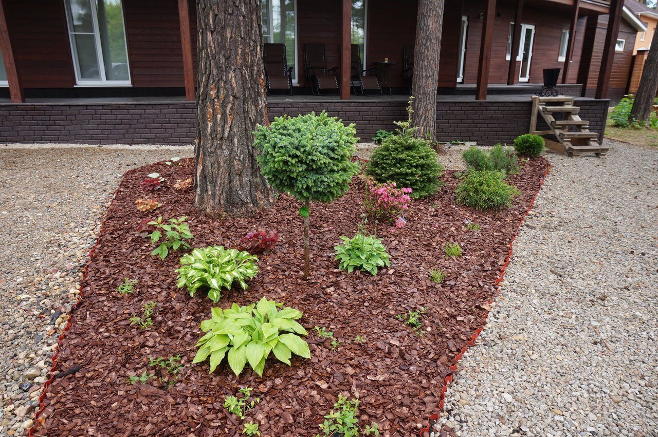 YARD & LOT CLEAN-UP